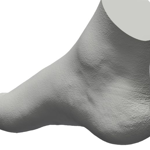 0.jpg Human foot
