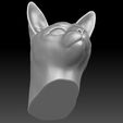 19.jpg Siamese Cat head for 3D printing