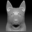 2.jpg German Shepherd head for 3D printing