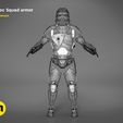 render_Havoc_trooper_armor_mesh.343.jpg Havoc Squad armor