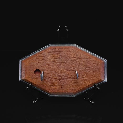 DSC06752.jpg Pirarucu