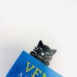IMG_6797.jpg kedi kitap ayracı