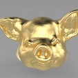 pppp.png pig