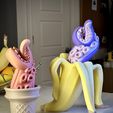 F7EB24B2-92BB-4A41-B58E-AA7DA5531268.jpeg 3D file Tentanana & Tentacone・3D printing model to download
