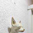 IMG-20250621-WA0027.jpg chihuahua dog head wall mount stl