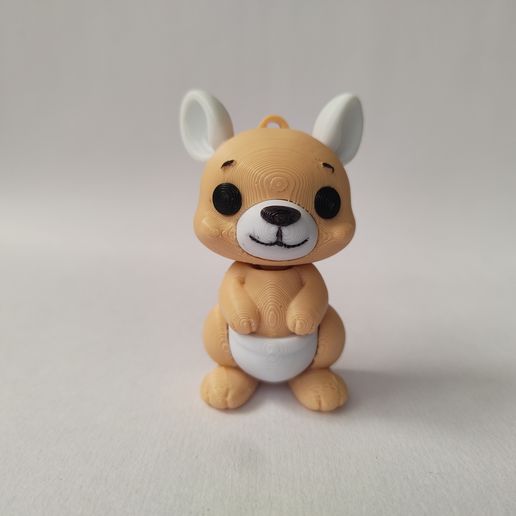 IMG20250713154922.jpg 🦘 KANGOUROU MIGNON FLEXI + PORTE-CLÉS