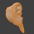 18.png 3D Model Ear Cross Section