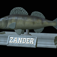 zander-statue-4-open-mouth-1-15.png fish zander / pikeperch / Sander lucioperca  open mouth statue detailed texture for 3d printing