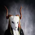 Elias Ainsworth Mask | The Ancient Magus' Bride Mask