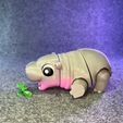 z5919060537473_a208d5a24abade933f995e50d89ce780.jpg Moo Deng Hippo Flexi - Articulado - STL & 3mf multicolor