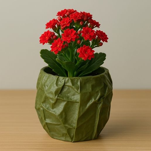 IMG_٢٠٢٥٠٤١٠_١٥٣١١٧.jpg Olive Green 3D Printed Crumpled Planter with Red Plant on Desk   ---