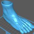 Foot-Vase-Moad-STL-2.jpg Foot Vase Vase - Foot Penholder - Pies Pies Macetero - Anatomical Sculpture