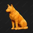 458-Australian_Cattle_Dog_Pose_04.jpg Australian Cattle Dog 3D Print Model Pose 04