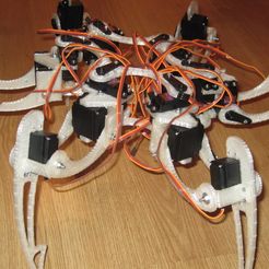 IMG_1768_display_large.jpg Free 3D file Printable Hexapod・3D printable model to download