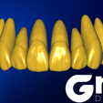 preview8.png UPDATE- The latest 2025 Grin Design library collection