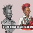 Black-Hawk-Sauk-Leader-STL.jpg Black hawk (sauk leader)