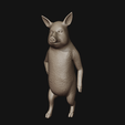 5.png The Little Pig