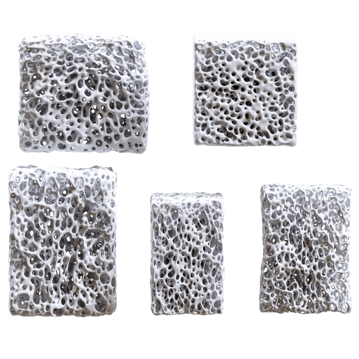 1.png Bone Sponge Printable