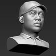 tiger-woods-bust-ready-for-full-color-3d-printing-3d-model-obj-mtl-fbx-stl-wrl-wrz (36).jpg Tiger Woods bust ready for full color 3D printing