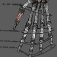 limbs-with-girdle-bones-name-parts-text-labelled-3d-model-50390ce03c.jpg Limbs With Girdle bones name parts text labelled 3D model