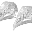 Chicken-scan-STL-v2-smooth-reduced-poly.png Chicken Skull | 1:1 HIGH RESOLUTION 3D SCANNED REPLICA | BY CC3D