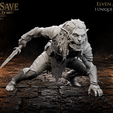 Elven-Assassin-1.png Elven Assassin Male