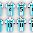 camisetas-1.png 26 keychains Argentine Shirts Champions Qatar 2022