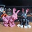 Jouet articulé Bunny Rabbit, print-in-place, cute-flexi