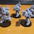 Knightly Prime Bodies [PRE-SUPPORTED]