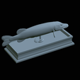 Pike-statue-33.png fish Northern pike / Esox lucius statue detailed texture for 3d printing