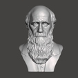 Charles-Darwin-1.png 3D Model of Charles Darwin - High-Quality STL File for 3D Printing (PERSONAL USE)