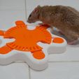 Rat_03.jpg (Pet Enrichment Toy)  Turntable Starfish