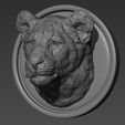 3.jpg Lion cub head