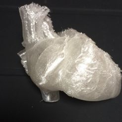 photo_display_large.jpg Free STL file Human Heart Hi-Fi・Template to download and 3D print