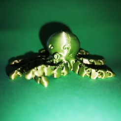 Симпатичный мини-осьминог, Evaimprimeen3d