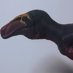 Marshosaurus bicentesimus