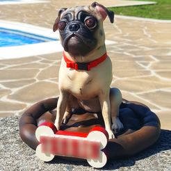 Untitled-1.jpg STL file Pug dog realistic model, splited and ready for 3d print・3D print object to download