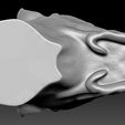 22.jpg Great Dane head for 3D printing