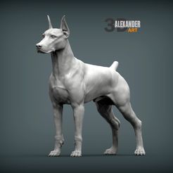 Download 7 3D models from 💾 My saved 3D files listed by ija2 • 3D