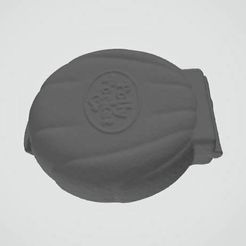 TopPreviewScan.jpg OBJ file Polly Pocket Shell Scan・3D printer model to download