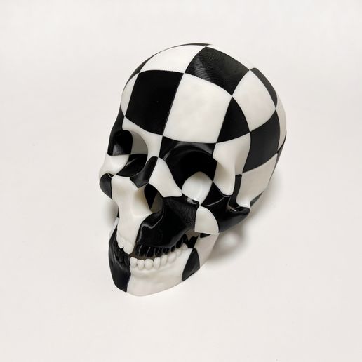IMG_6287.jpeg Cubic Skull