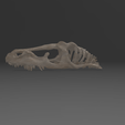 pic-5.png dinosaur skull