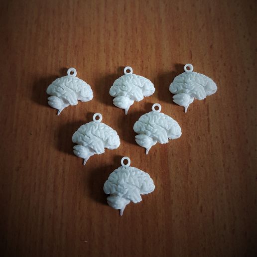 🧠 Brain Keychain・ STL File for ・Cults