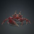 uv2.jpg Crab Crab Crab - DOWNLOAD Crab 3d Model - animated for Blender-Fbx-Unity-Maya-Unreal-C4d-3ds Max - and 3D Printing Crab - POKÉMON - DINOSAUR