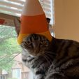 IMG_1604.jpeg 🍬CandyCorn Cat Helmet🍬 [Disfraz]