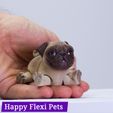 IMG_2651.jpg Barney the pug flexi toy