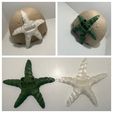 Cute Flexi Print-in-Place Starfish