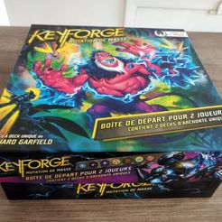 IMG_20210803_183048.jpg Free STL file Keyforge - 2 Starters dans une boite (2 starters in 1 box)・3D printing template to download