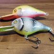20240115_112423.jpg Deep Diving Crankbait Fishing Lure: Customizable, Weighted, and Easy Assembly