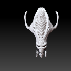 hydraliskskull1.png Alien Creature skull